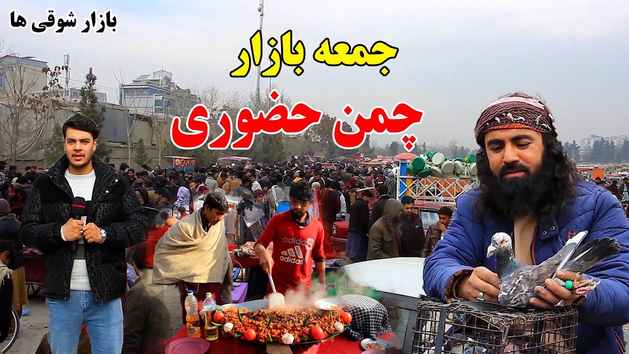 بازار شوقی های چمن حضوری/ کفتر دو چپ 10000دالر/گزارش شعیب امیری-Report by Shoaib Amiri