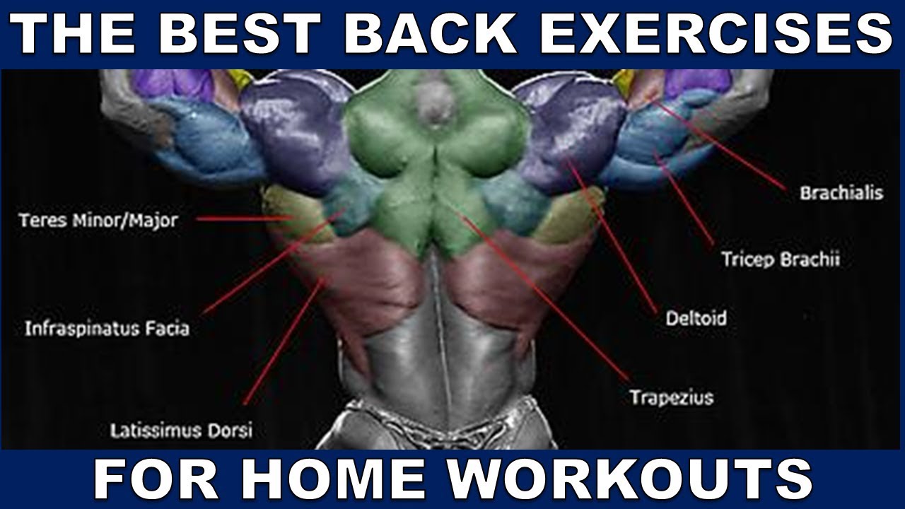 Best Back Building Exercises To Do At Home