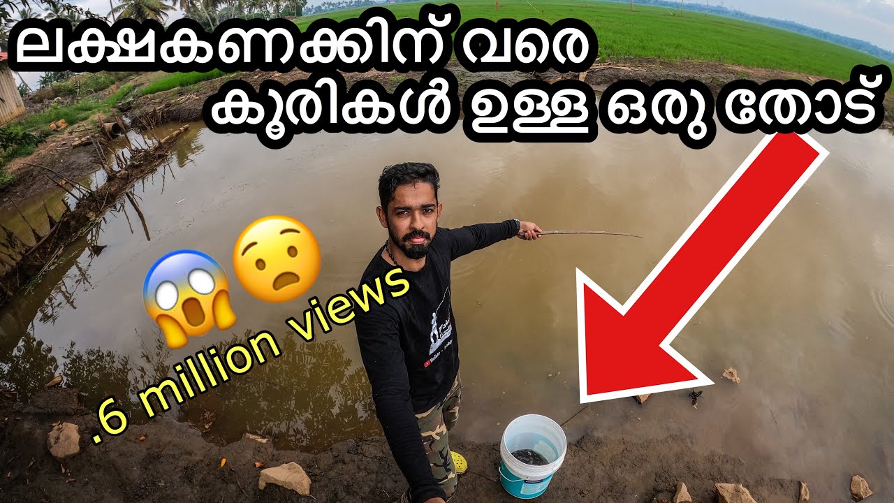 ചൂണ്ട ഒന്ന് താഴാൻ സമയം താ...എന്റെ മീനെ🤣🤣| catching and cooking cat fish in Kerala | kerala fishing