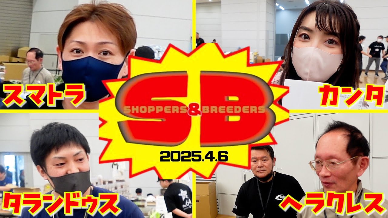 日本最大級の昆虫イベント「SB」に2400人が集結！クワガタ＆カブトムシが大集合！
