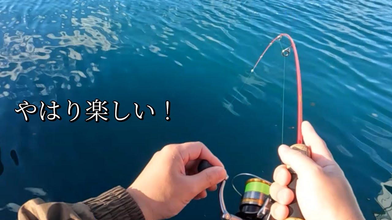 なぜか楽しいアジングの練習