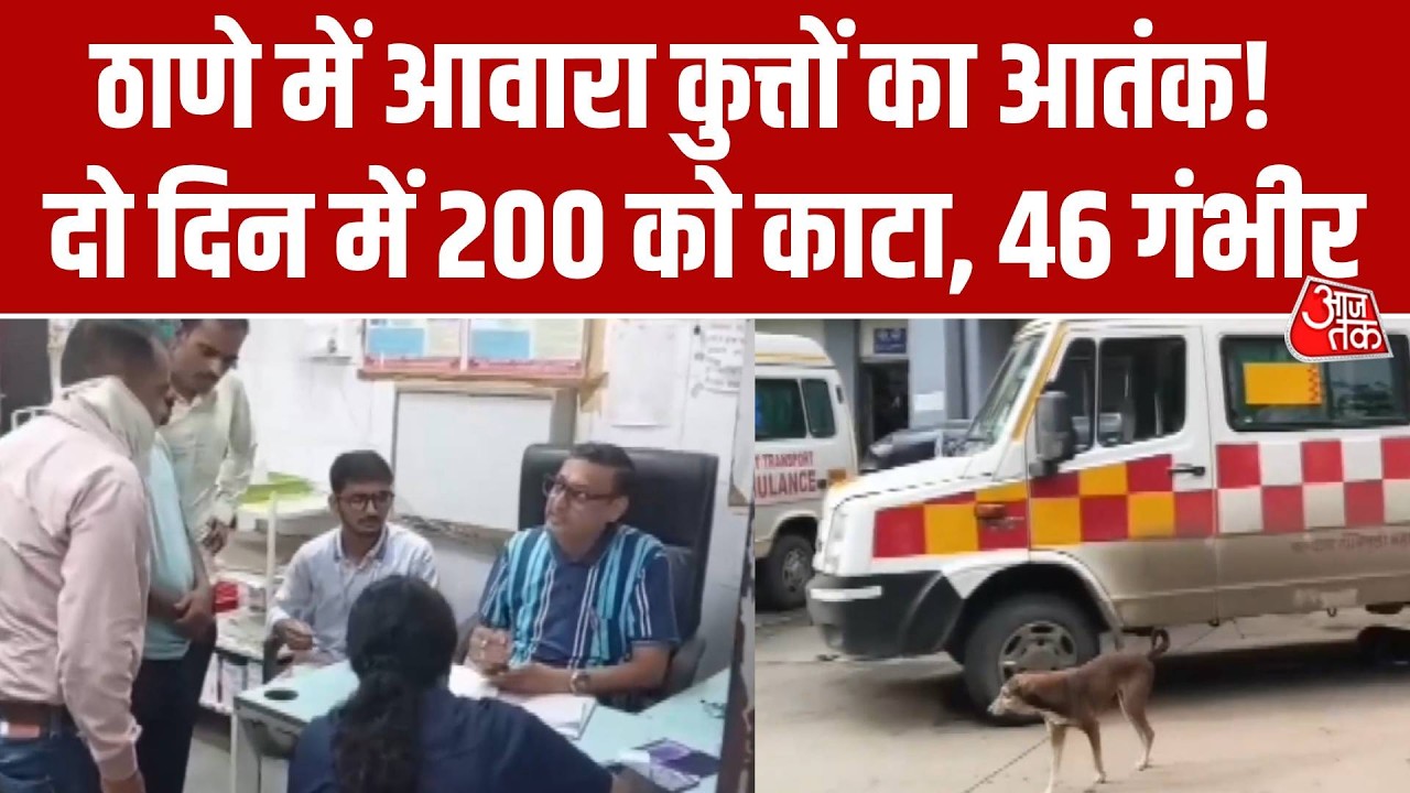 Maharashtra के Thane में Stray Dogs का आतंक, दो दिन में 200 लोगों को काटा