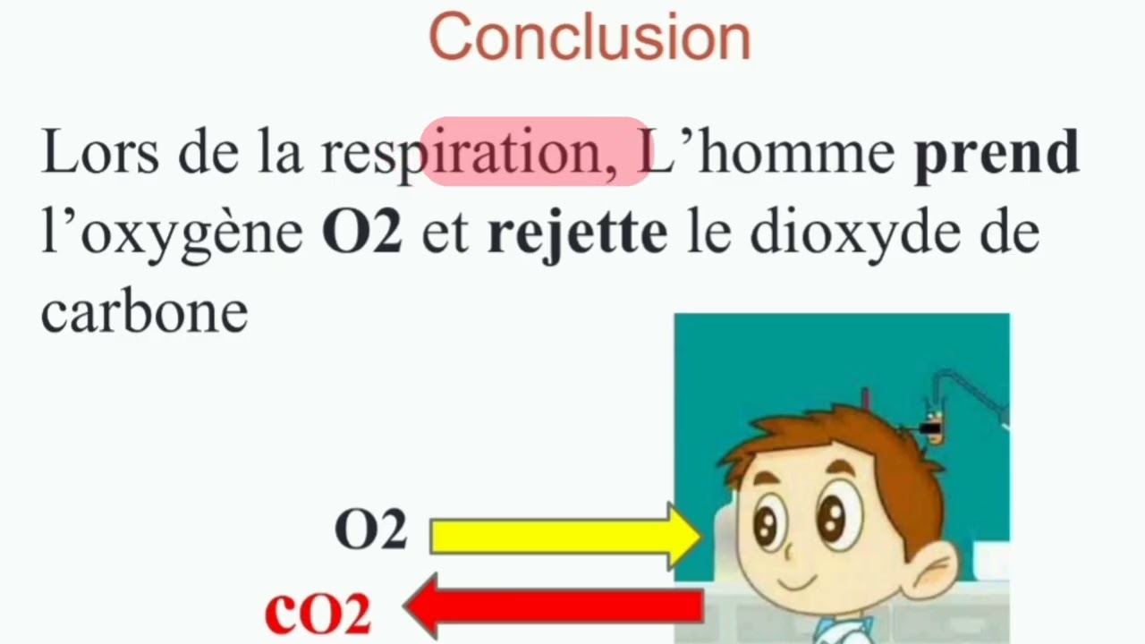 La respiration chez les êtres vivants 🛑les échanges gazeux chez les êtres vivants 