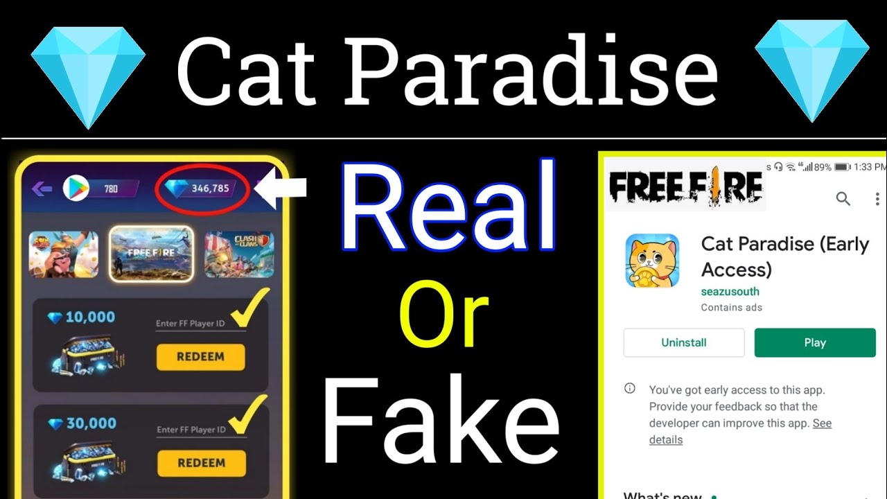 Cat Paradise Real Or Fake - Cat Paradise Free Fire - Cat Paradise Game Review