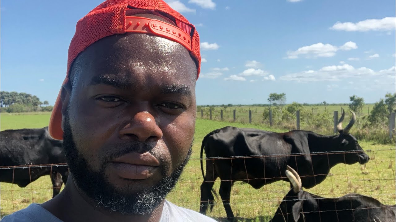 How I Got Free Land to Farm