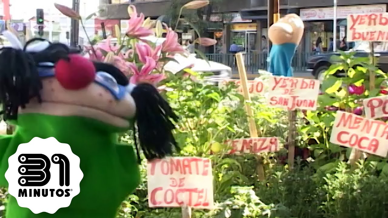 31 minutos - Canta la gente - Será porque te amo