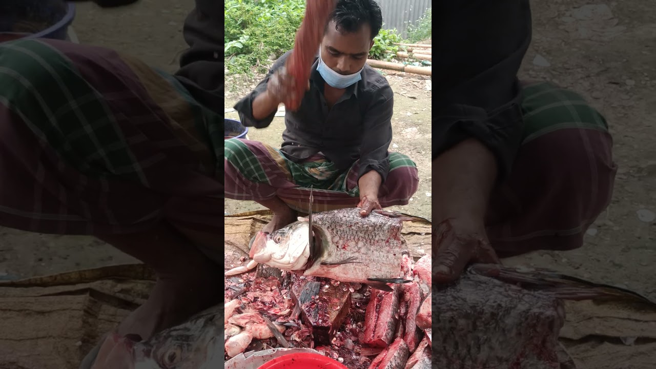 Giant Big Fish Cutting By Expert Cutter In Bangladesh Fish Market