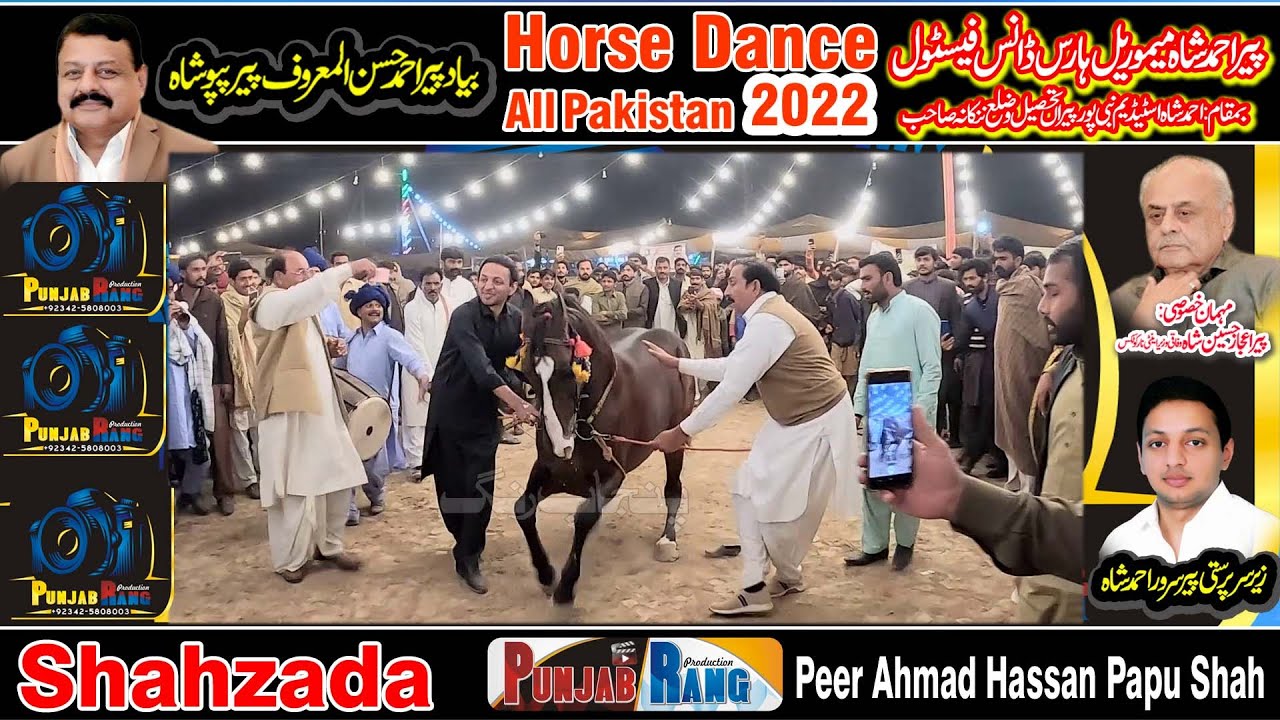 Shahzada ll Sarwar Shah Qurashi ll All Punjab Horse Dance ll Nabipur Peeran Nankana Sahib ll 19