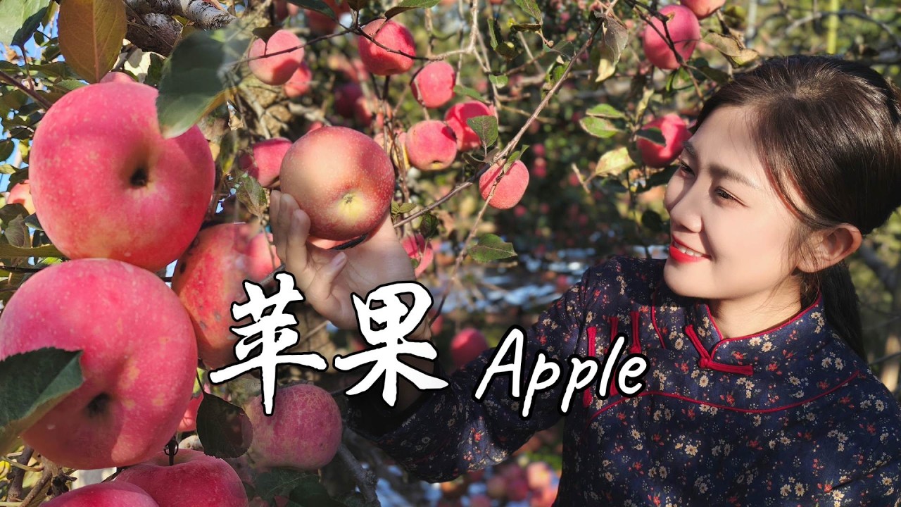 Even Ordinary Apples Can Turn into the Most Beautiful Taste of Winter【海曲姑娘 Haiqu Girl】#chinesefood