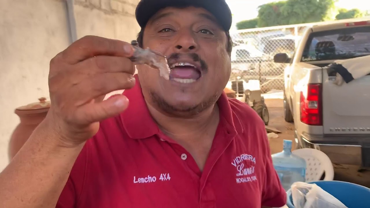 Buchitos de Camaron fritos toda esta carne contiene una cabeza de Camaron