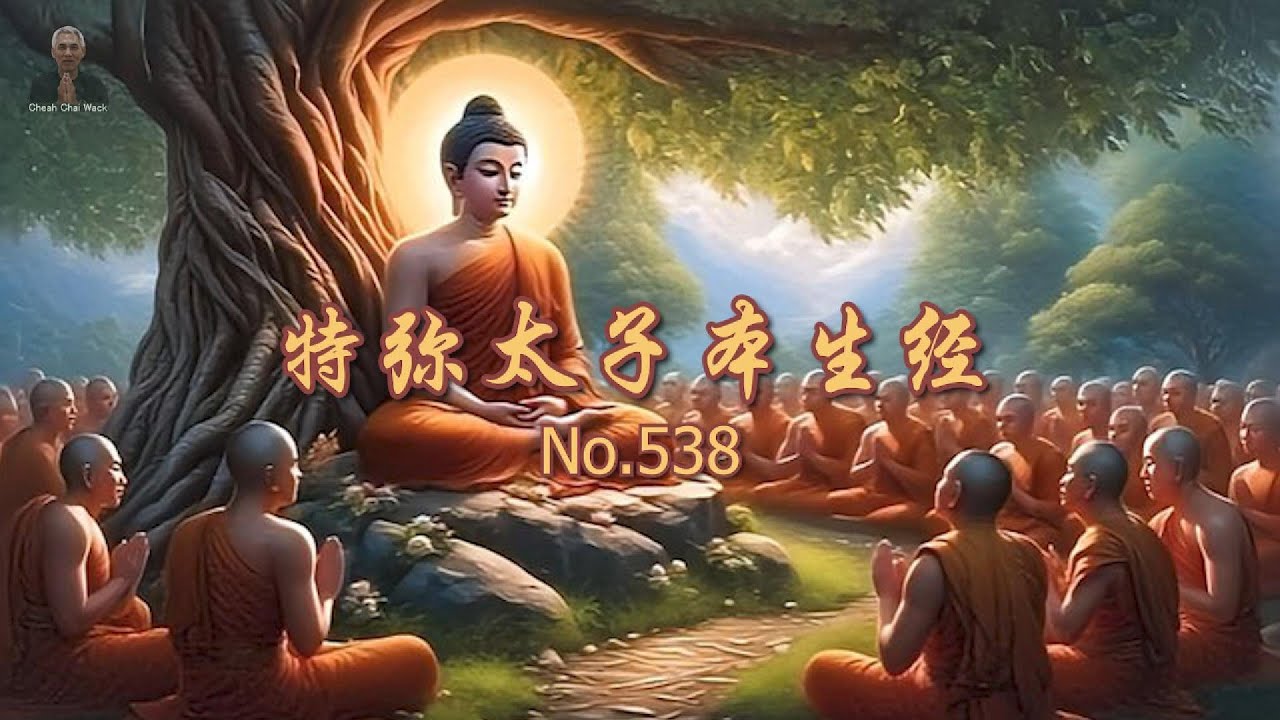 特弥太子本生经 No 538