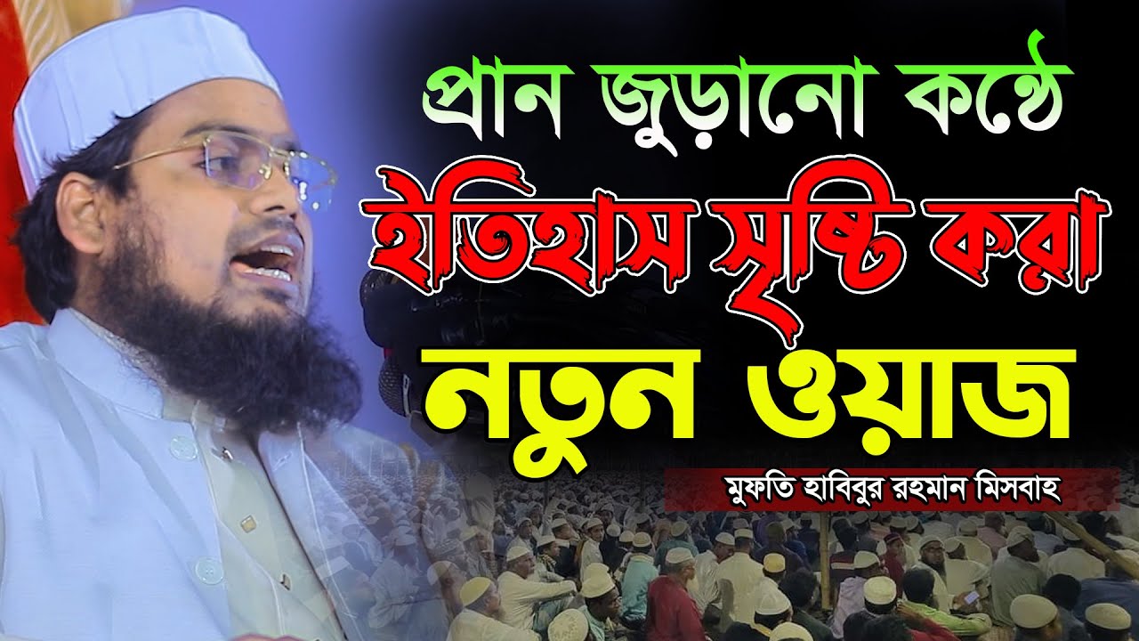 প্রাণ জুড়ানো কন্ঠে ইতিহাস সৃষ্টি করা নতুন ওয়াজ,হাবিবুর রহমান মিসবাহ,habibur rahman misbah,New waz