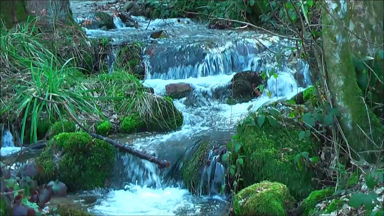 Entspannen Pur am Schwarzwaldbach, Relax, Tinnitus-Linderung,