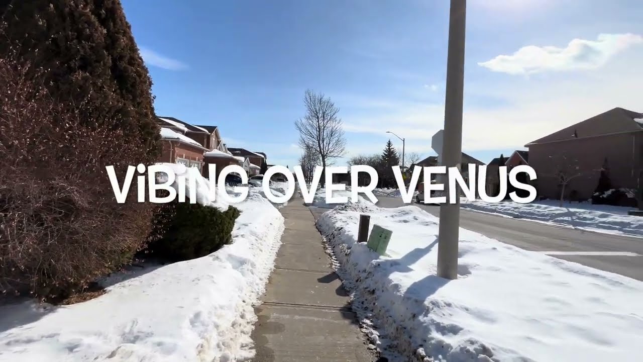 Vibing Over Venus
