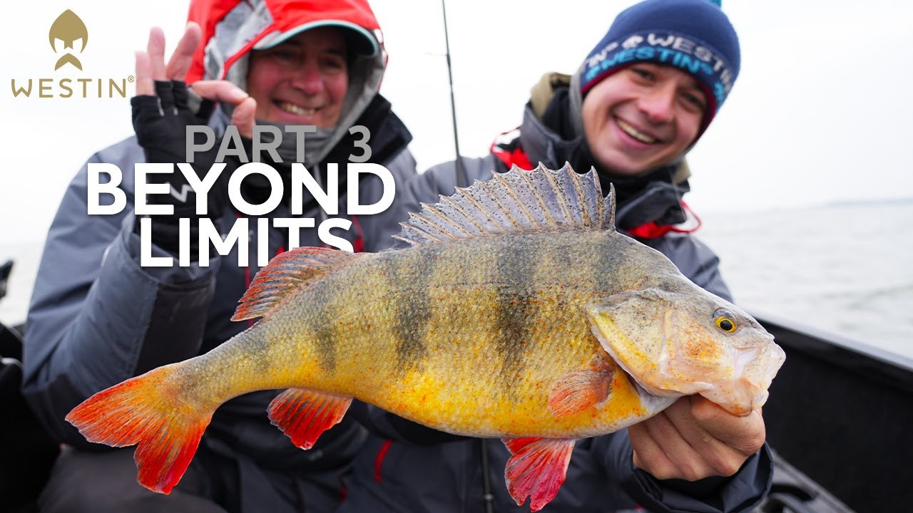 Toon´s Perch of a Lifetime | Westin Fishing