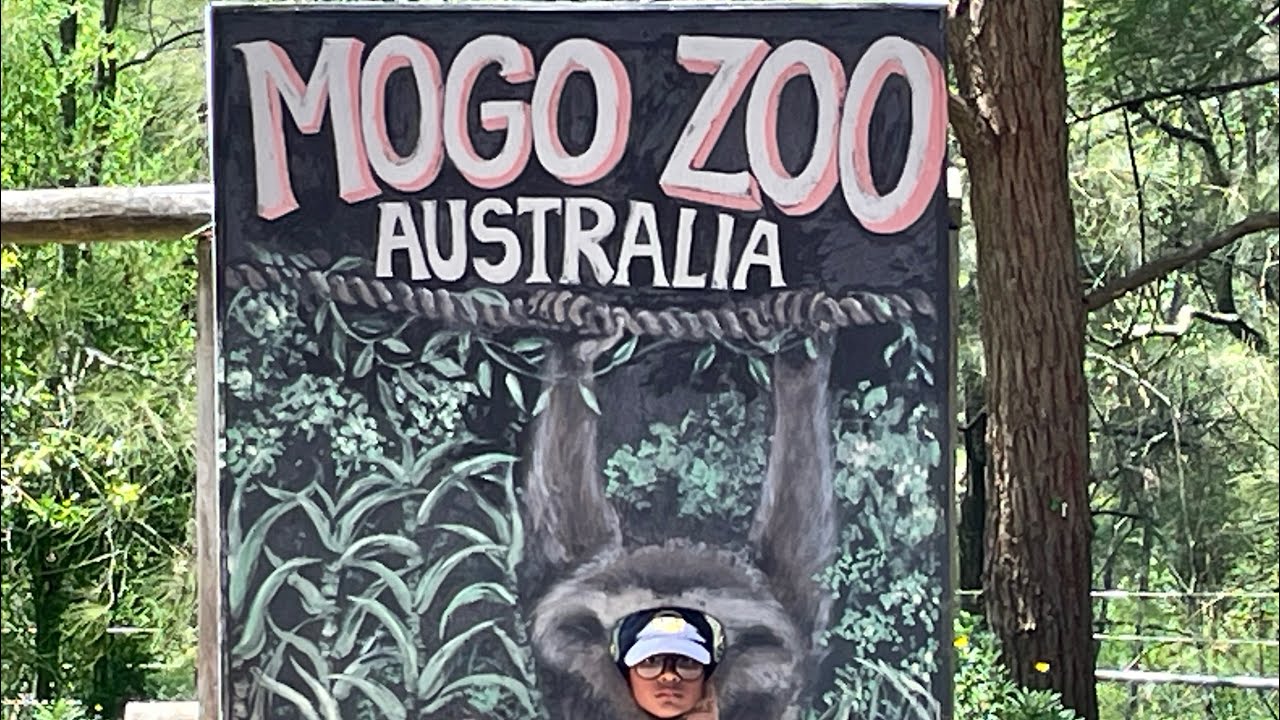 Mogo Zoo visit