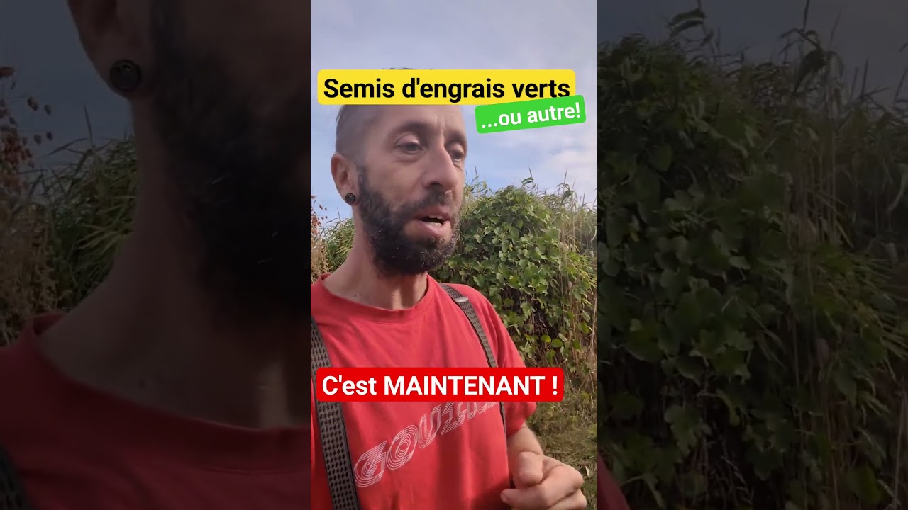 Vous devez semer des engrais verts ou n'importe quoi d'autre ? C'est MAINTENANT qu'il faut le faire