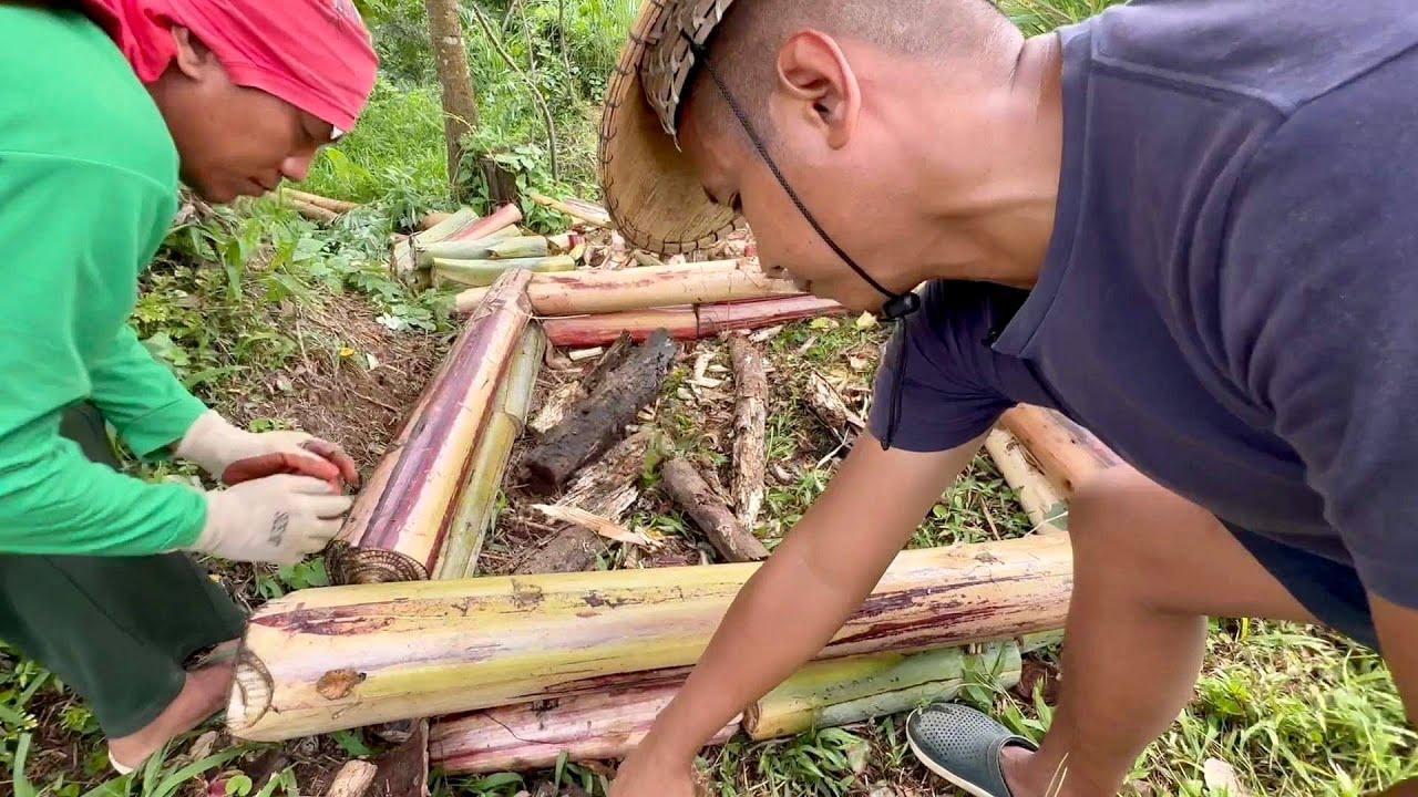 INSTRUCTIONAL: Paano gumawa ng Raised Bed Permaculture