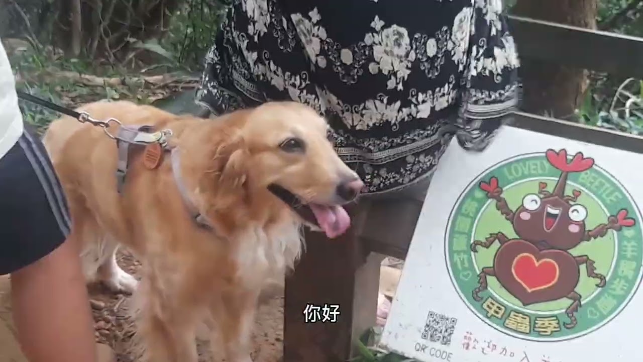 蘆竹區南崁羊稠坑森林步道