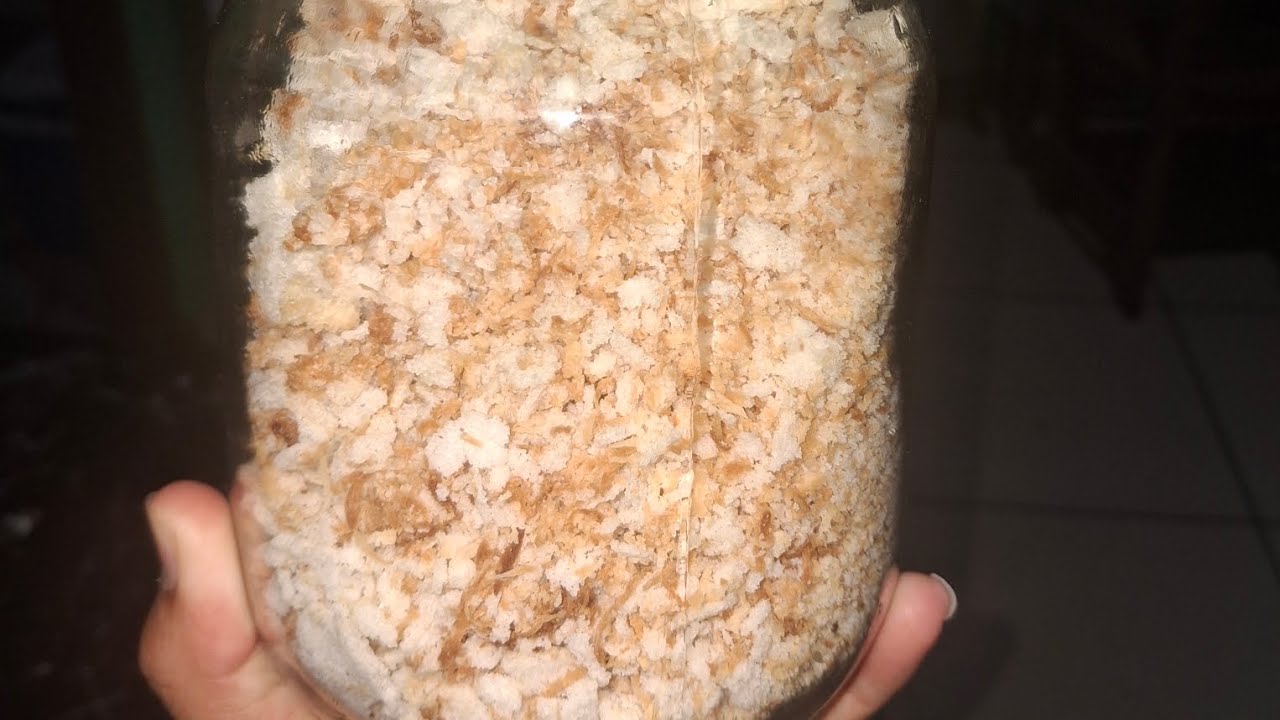TAPIOCA COM COCO