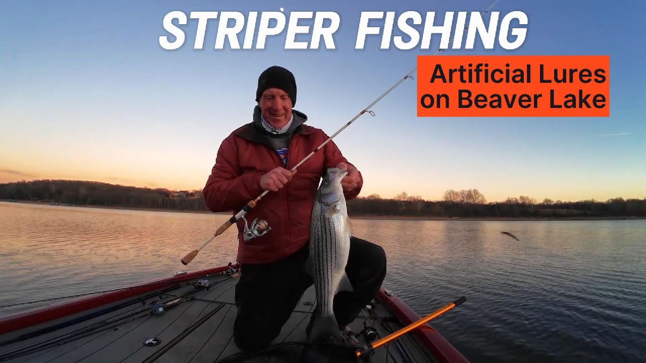 Too small of striper? What's up on that on Beaver Lake