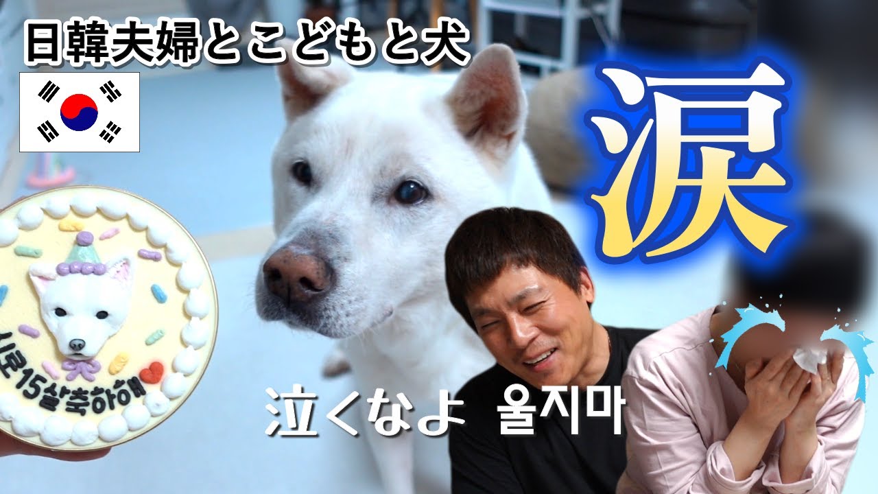 涙が止まらない誕生日パーティー｜日韓夫婦とこどもと犬🐾