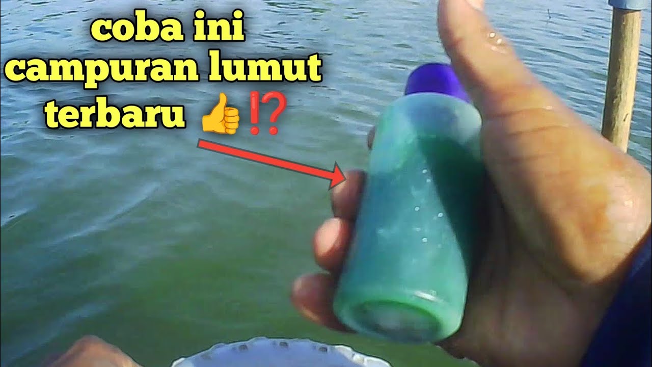 WKO terbaru ⁉️ campuran lumut alami #mancing #ikan #fhising #fish 