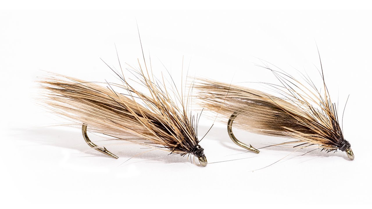 Montage des mouches : Le Sedge de l'ouest mouche sèche