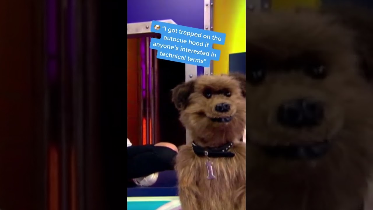 The BEST BLOOPER EVER! Hacker T Dog FAILS at Trampolining! 🙈 | CBBC HQ | #Shorts