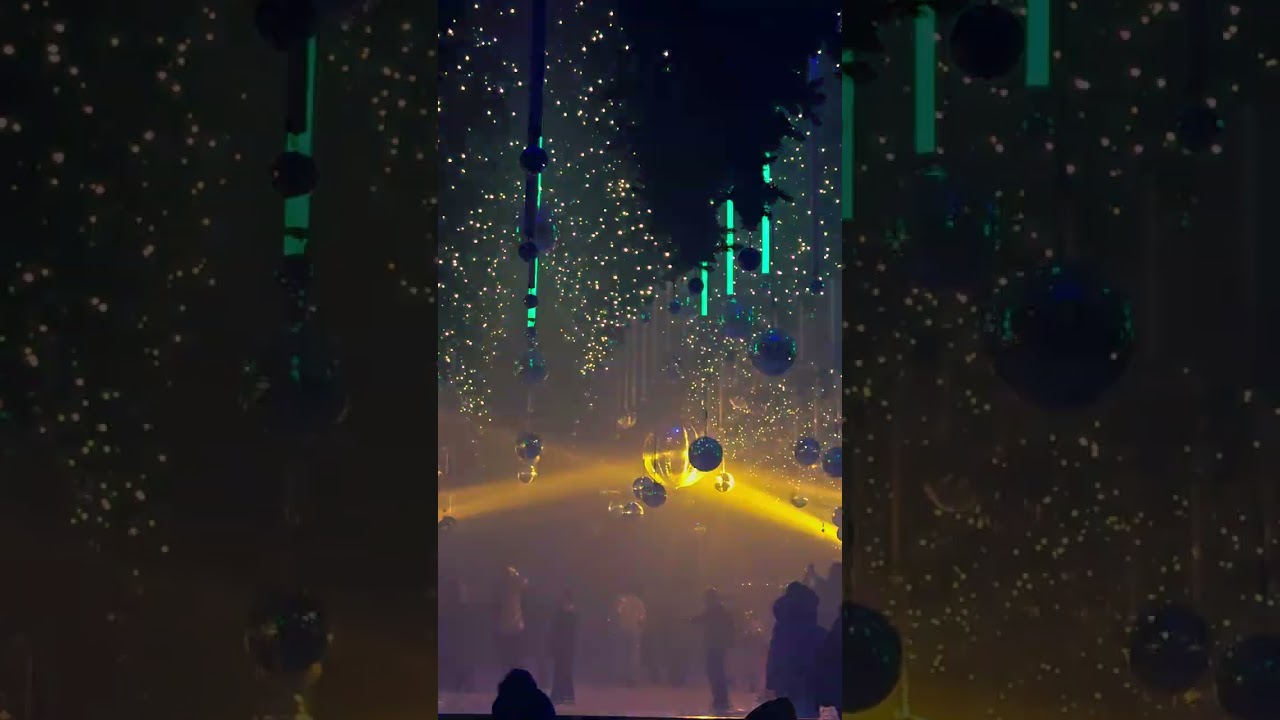 Словно в сказке каток в Берлине DARK Matter Licht und Medienkunst Museum Forest - Winterlight