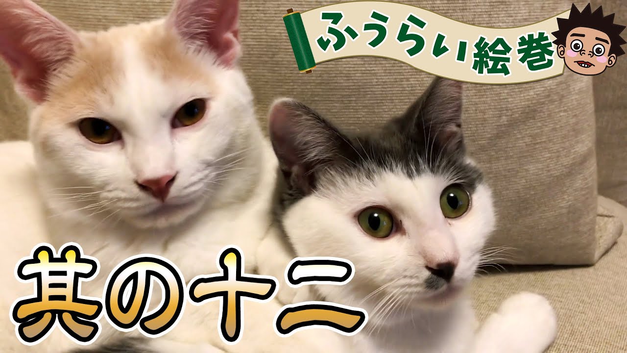 【ふうちゃんらいちゃん登場】ふうらい絵巻〜其の十二〜