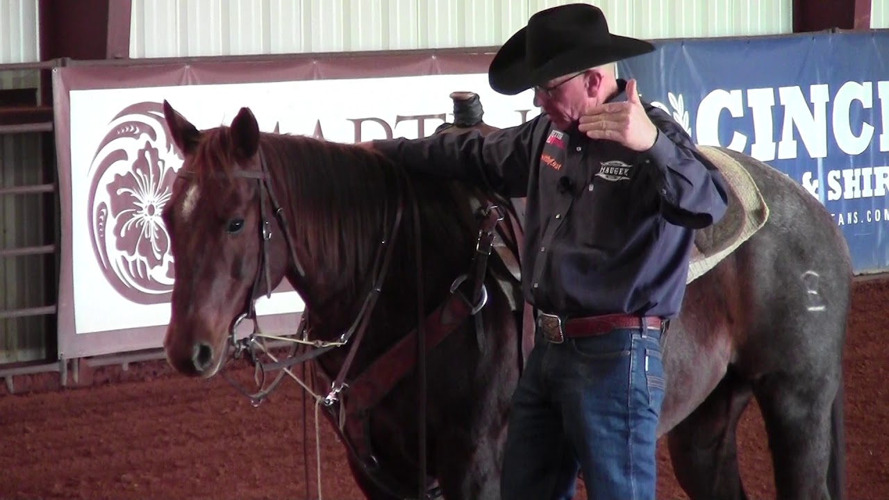 Better Horses TV: Using a Martingale