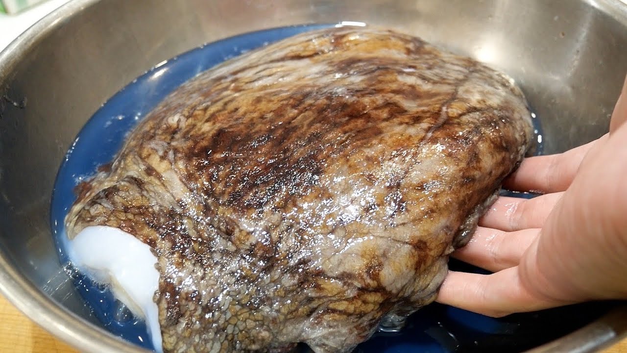 На рынке, на котором я впервые побывал, я обнаружил удивительные морепродукты! ! !