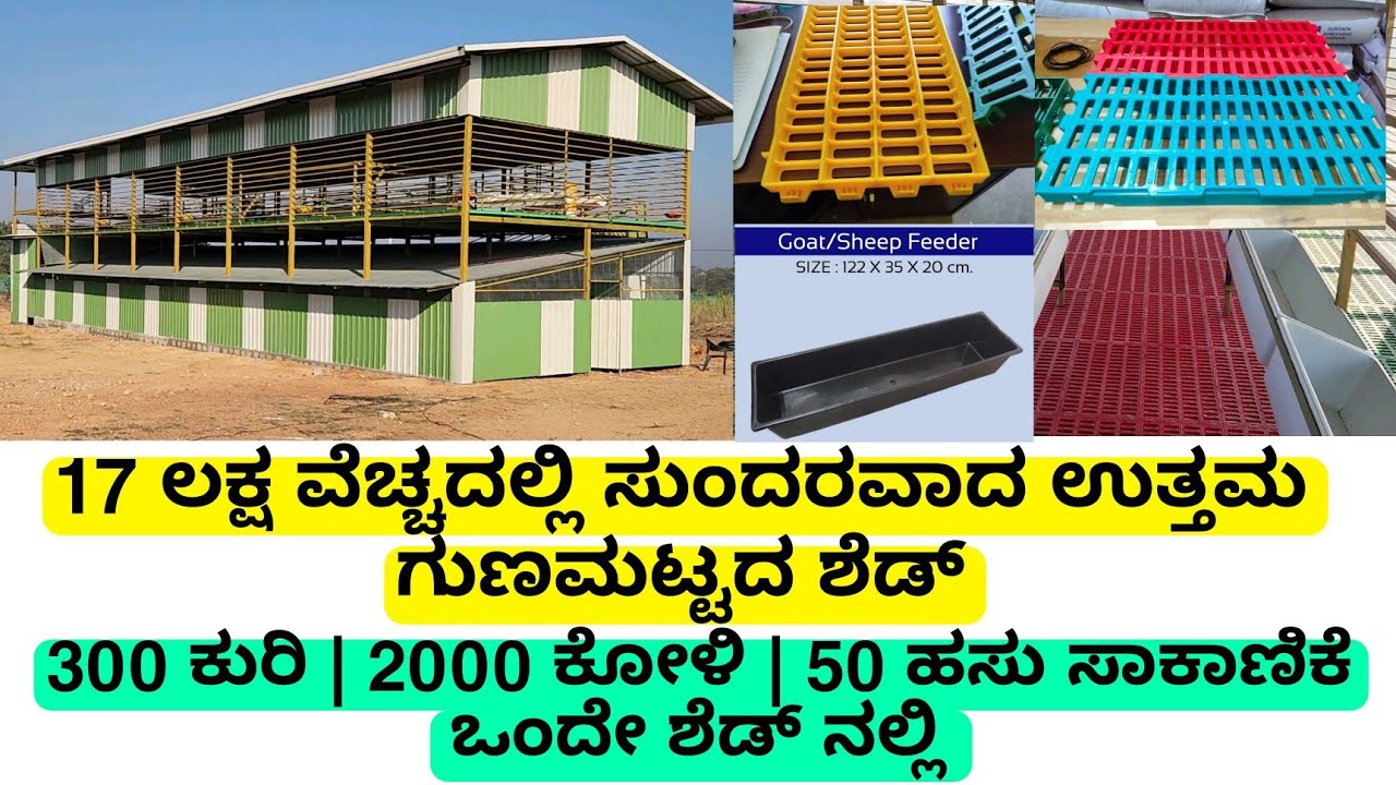 17 ಲಕ್ಷದಲ್ಲಿ ಸುಂದರವಾದ ಹೈಟೆಕ್ ಶೆಡ್| 300 ಕುರಿ | 2000 ಕೋಳಿ| 50 ಹಸು ಸಾಕಾಣಿಕೆ ಮಾಡಬಹುದು | hitech shed