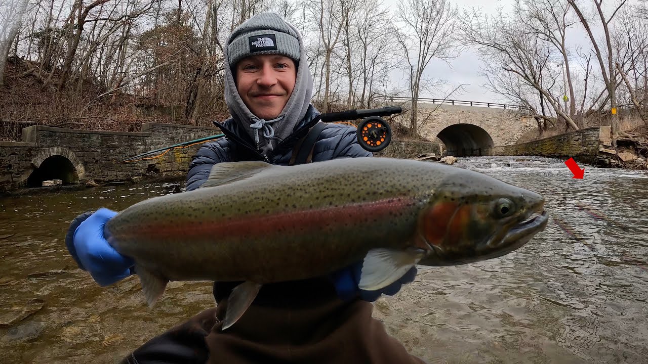 48 Hours Fishing GIANT Trout in the City - Solo Car Camping
