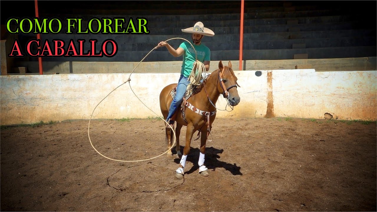 FLOREO DE CRINOLINA A CABALLO 🐴