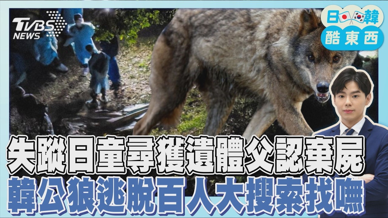 京都11歲男童失蹤21天尋獲遺體 父認棄屍 狼來了!  韓國公狼逃脫百人陸空大搜索找不到｜日韓酷東西PODCAST@tvbsnews24live