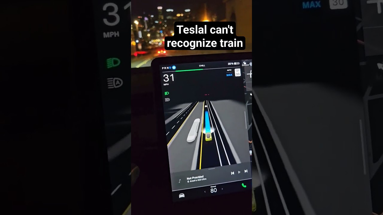 Tesla Can't Recognize Train