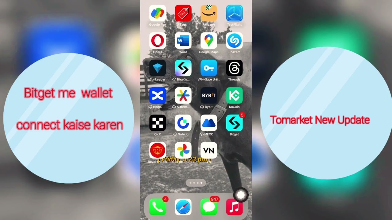 Tomarket wallet Connect Problem ! Tomarket Me Wallet Connect Kaise Kare