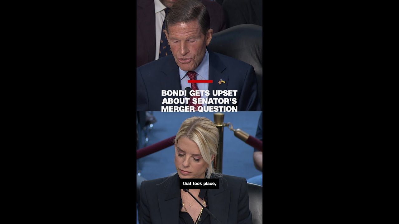 Bondi gets upset about senator's merger question