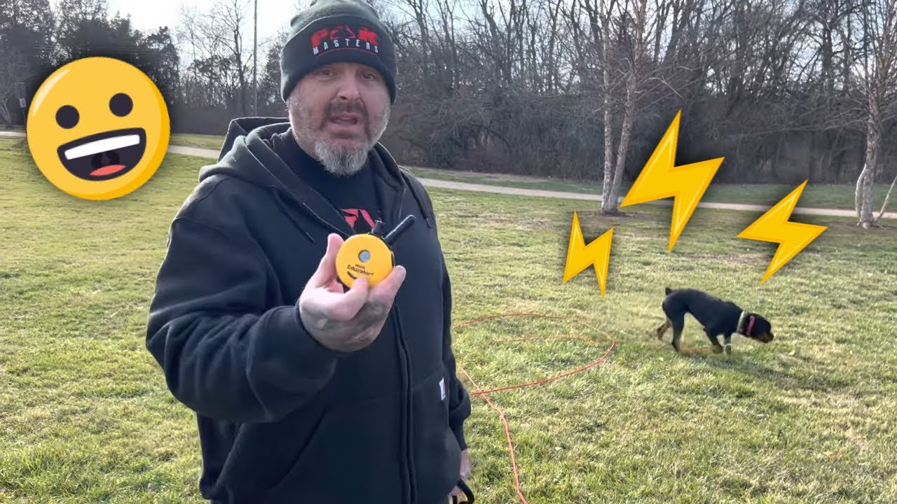 What does an aversive level e collar correction looks like when the dog is properly trained