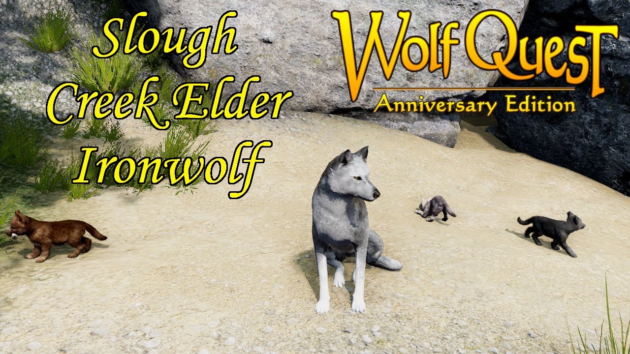Wolf Quest 3 - Slough Creek Elder Ironwolf