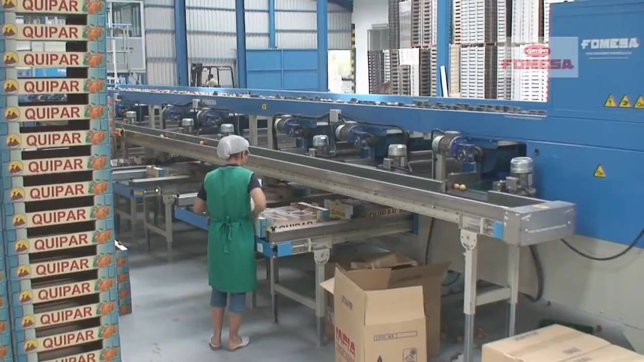 Grupo FOMESA. Postcosecha en fruta de Hueso