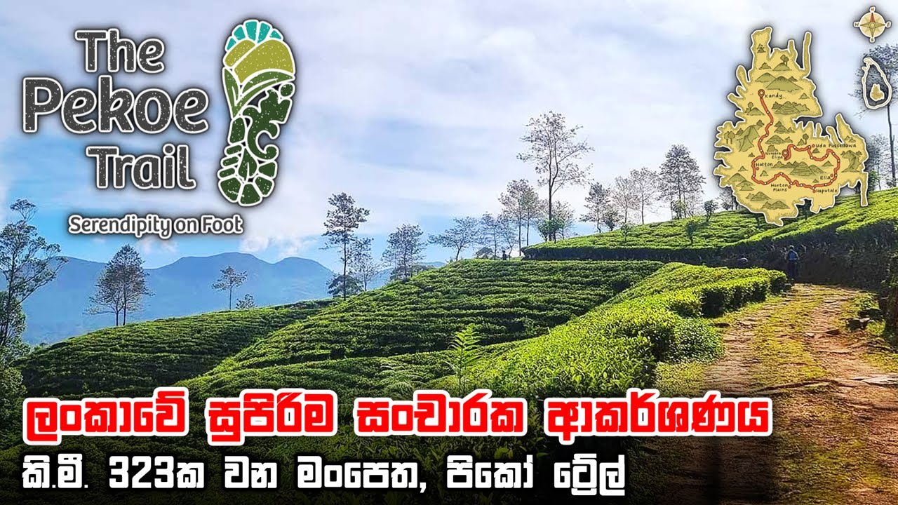 ලංකාවේ සුන්දරම වන මංපෙත, පිකෝ ට්‍රේල් | Pekoe Trail - Sri Lanka