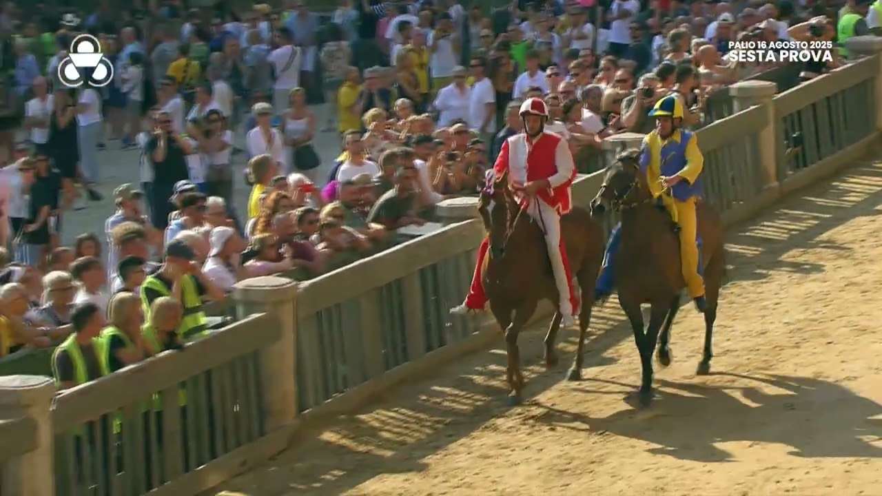 Provaccia del Palio dell'Assunta, il replay