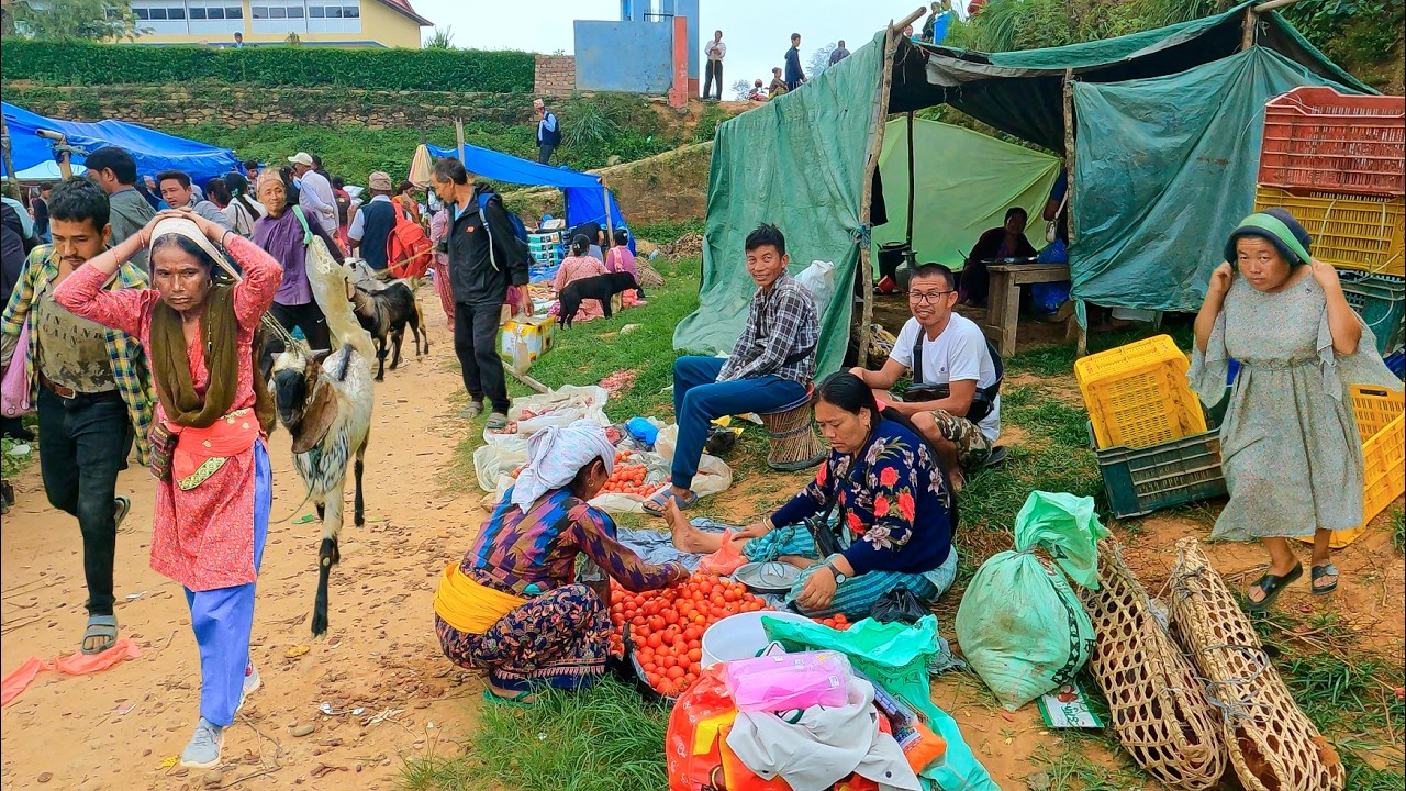 Wednesday Weekly Village Market in Nepal 🇳🇵 | Authentic Mountain Village Life & Local Culture