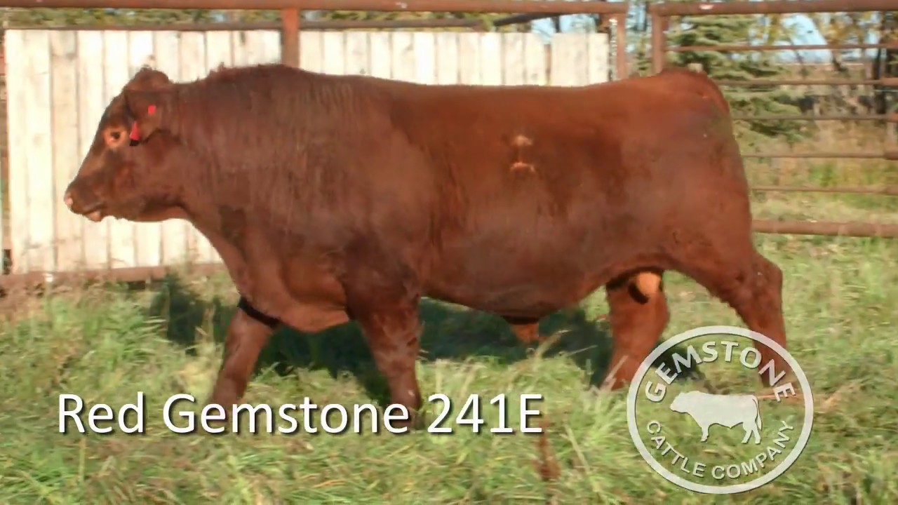 241E
