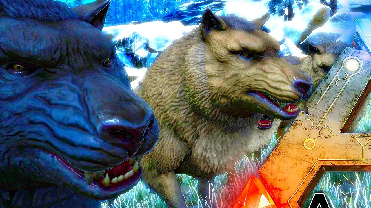 ARK Survival Evolved - PLAY AS DINO MOD, DIRE WOLF PACK GATHERING & DIMORPHODON ( Modded Gameplay )