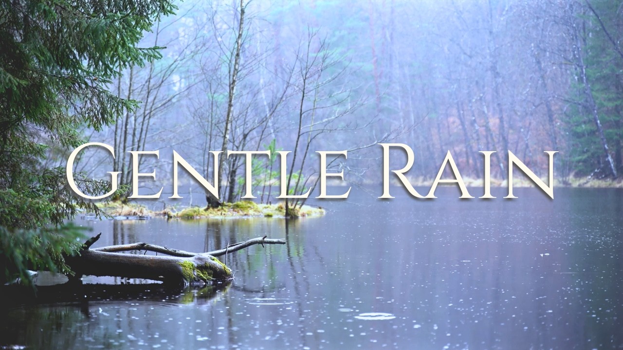 Gentle Rain at a Quiet Forest Pond | Natural Ambience for Deep Rest and Sleep | 4K