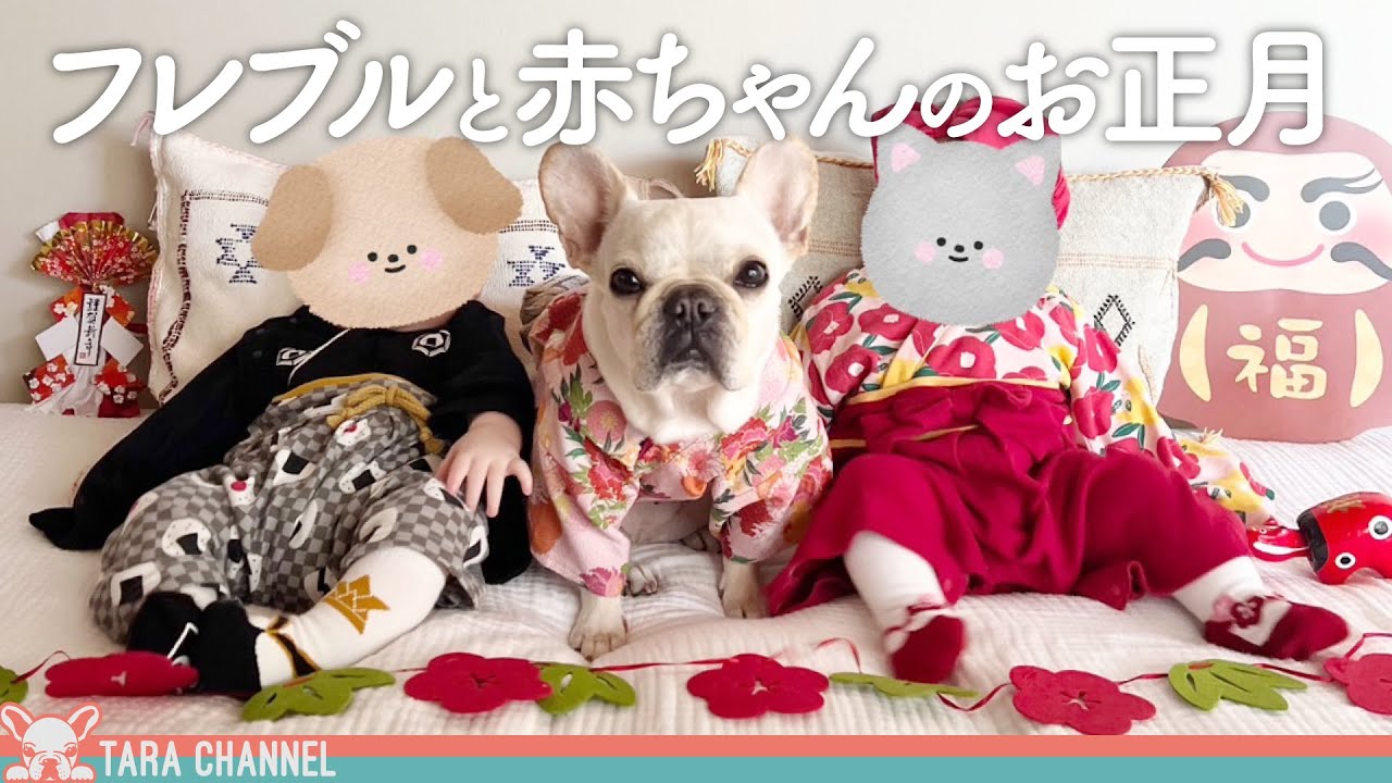 【謹賀新年】愛犬と双子赤ちゃんのお正月休み【フレンチブルドッグ】